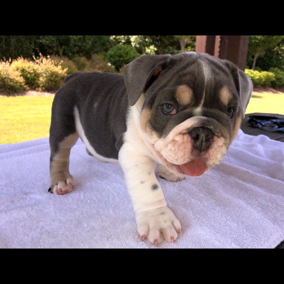 About Me - Picture 10 of 11